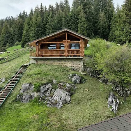 под звездите 3* Pamporovo