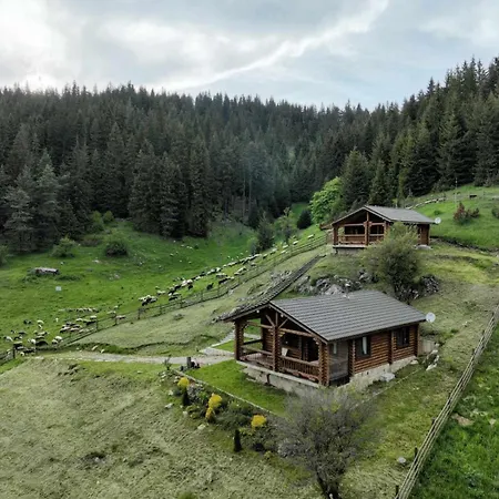 под звездите