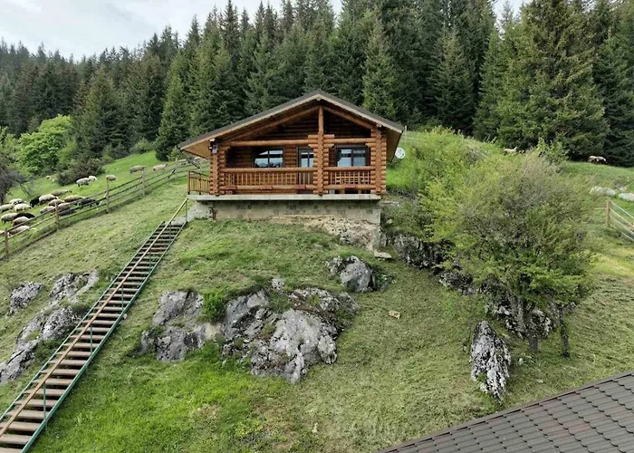 под звездите 3* Pamporovo